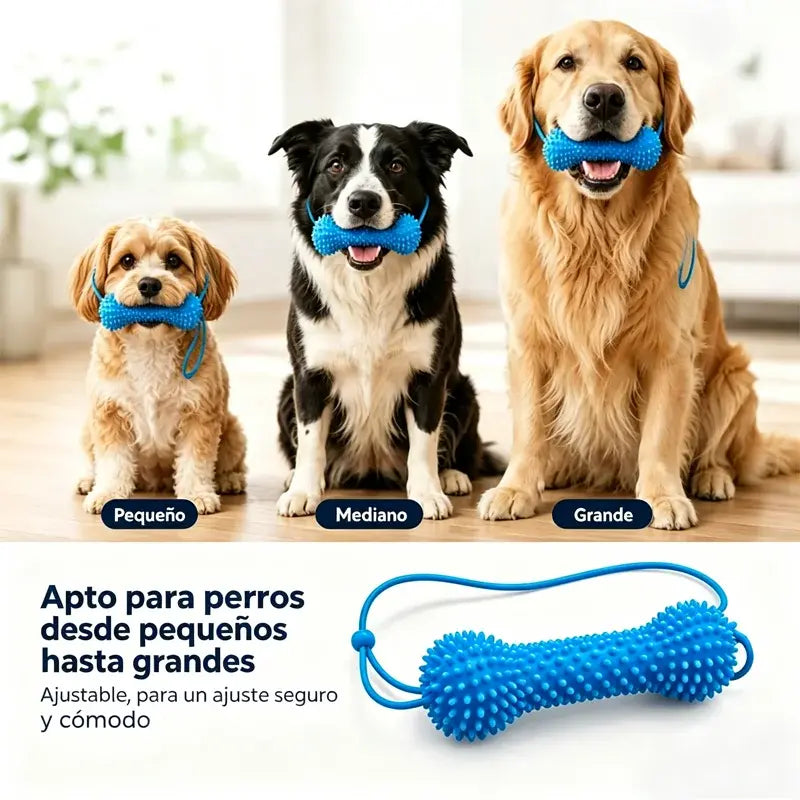 【2 juguetes para la dentición + 4 cepillos de dientes】Juguetes para masticar para perros