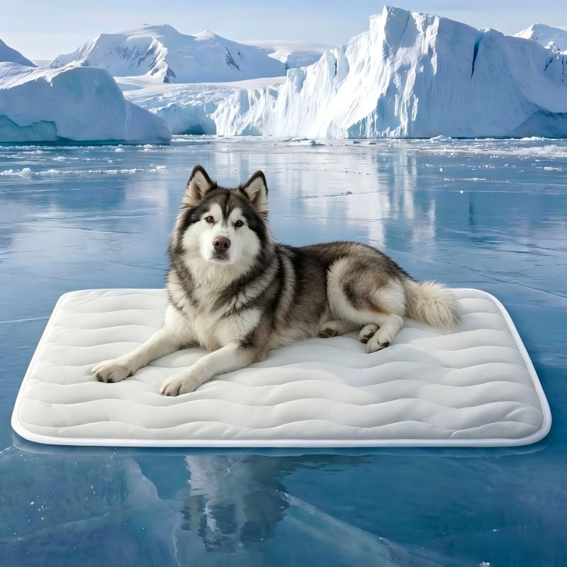 28 euros por piezašš¶ Alfombrilla refrescante especĆfica para mascotas, fina y transpirable, apta tanto para uso en interiores como en exteriores.