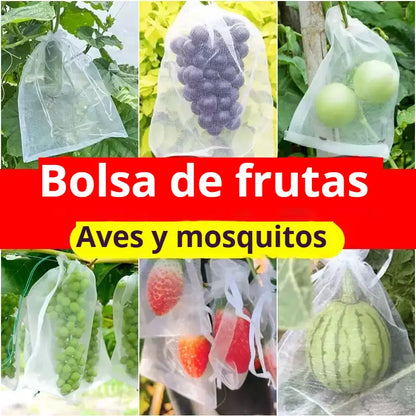 【30%OFF】【50 piezas（30x20cm）】Red de insectos para moscas de frutas, red de protección de árboles de paisaje para pájaros, bolsas de red de jardín para proteger flores, plantas, frutas, verduras