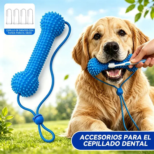 【2 juguetes para la dentición + 4 cepillos de dientes】Juguetes para masticar para perros