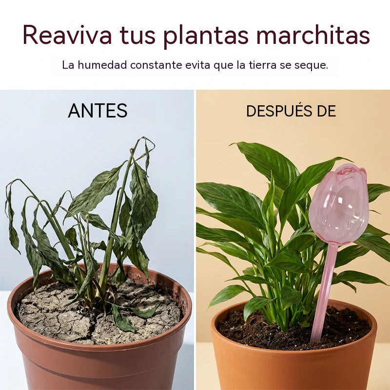 🌷¡Disfruta ahora de un 50% de descuento! ✨Bola de riego automática con forma de tulipán para plantas🎀