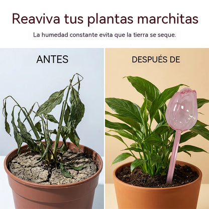 🌷¡Disfruta ahora de un 50% de descuento! ✨Bola de riego automática con forma de tulipán para plantas🎀