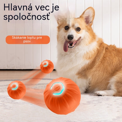 🐶2 kusy za 24 eur🎁Inteligentná interaktívna skákacia lopta pre domáce zvieratá