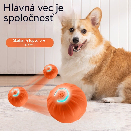 🐶2 kusy za 24 eur🎁Inteligentná interaktívna skákacia lopta pre domáce zvieratá