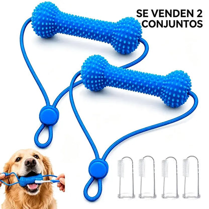 【2 juguetes para la dentición + 4 cepillos de dientes】Juguetes para masticar para perros