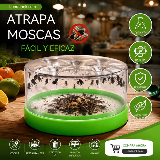 🔌✅ Trampa para moscas reutilizable: ¡sin electricidad ni veneno! 🏠 Segura para usar en la cocina y cerca de niños y mascotas.