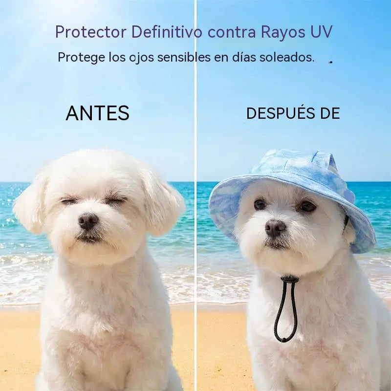 【Compra 1 y llévate 1 gratis】🐾 Gorro de pescador ajustable para mascotas (con orificios para las orejas): deja que tu mascota se sienta segura y cómoda al aire libre.