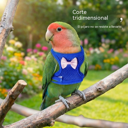 🐦🐦‍⬛Arnés y correa de vuelo para loros