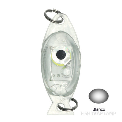 5 artículos 29€- 🎣💡 Luz subacuática para atraer peces: luz de alta intensidad y 5 colores para la pesca nocturna.