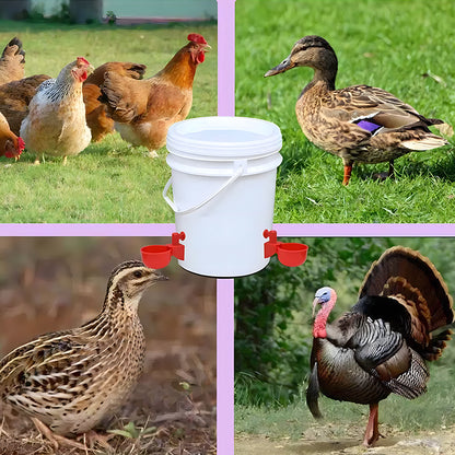 🐔【10 piezas】Bol de agua automático para aves de corral, sin necesidad de alimentación manual