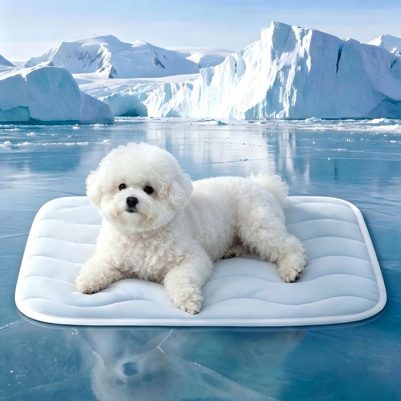 28 euros por pieza🐕🐶 Alfombrilla refrescante específica para mascotas, fina y transpirable, apta tanto para uso en interiores como en exteriores.
