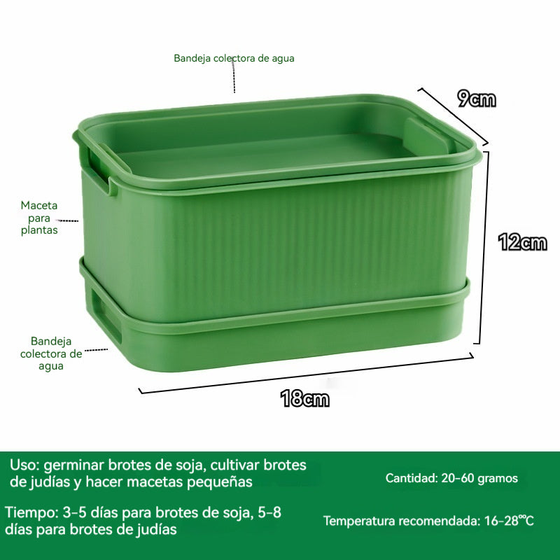 🌱🥗Bandeja para germinar brotes en casa | Cultiva brotes frescos fácilmente