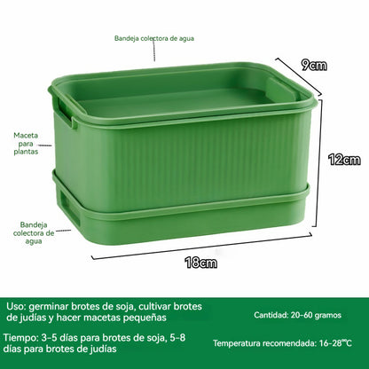 🌱🥗Bandeja para germinar brotes en casa | Cultiva brotes frescos fácilmente