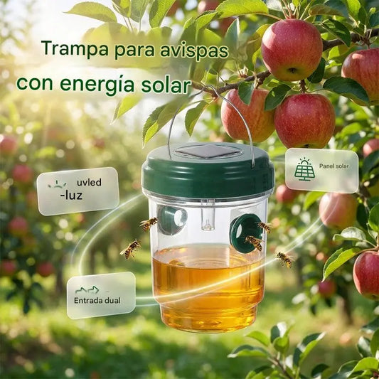 🔥Nueva oferta imperdible❤️‍🔥Trampa solar colgante para avispas