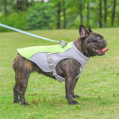 🐶Posljednji dan rasprodaje: 50% POPUSTA🐾 Ljetni rashladni prsluk za pse❄️