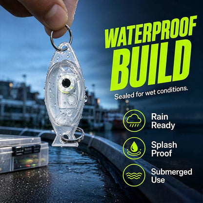 5 artículos 29€- 🎣💡 Luz subacuática para atraer peces: luz de alta intensidad y 5 colores para la pesca nocturna.