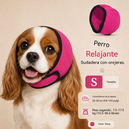 🐶 Gorro calmante para perros | Más tranquilidad en momentos de estrés