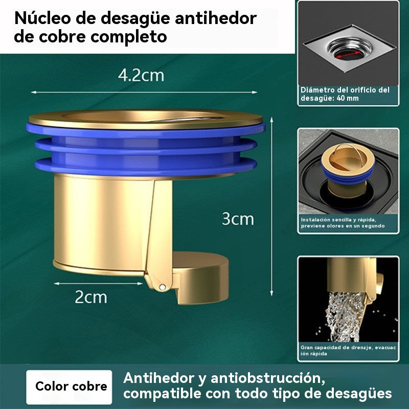 🔥✨2 artículos por 23 euros🔥¡Compra 1 y llévate 1 GRATIS!🔥 Desagüe universal de latón para suelo con núcleo desodorizante antiolor 🚿✨