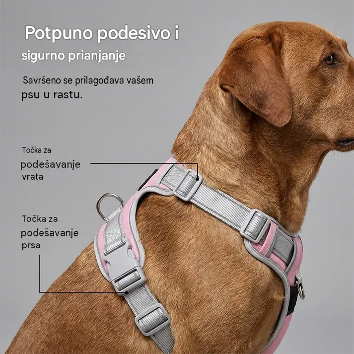 【XS-2XL】Pojas za pse bez povlačenja