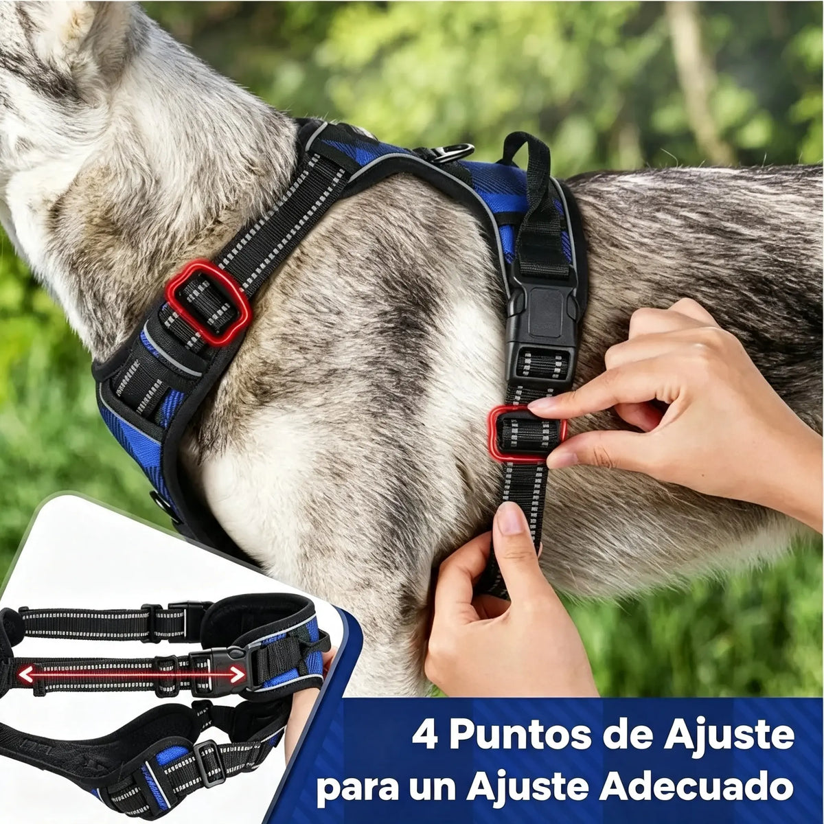 🦮Correa anti-tirones para perros