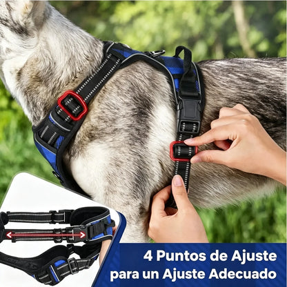 🦮Correa anti-tirones para perros