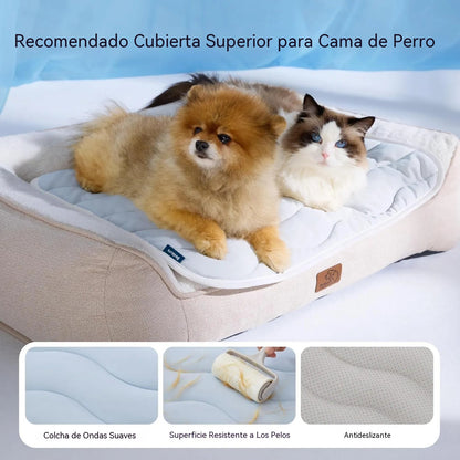 28 euros por pieza🐕🐶 Alfombrilla refrescante específica para mascotas, fina y transpirable, apta tanto para uso en interiores como en exteriores.