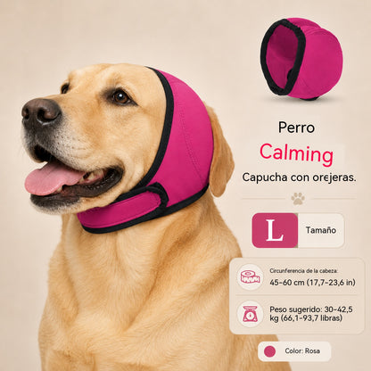 🐶 Gorro calmante para perros | Más tranquilidad en momentos de estrés