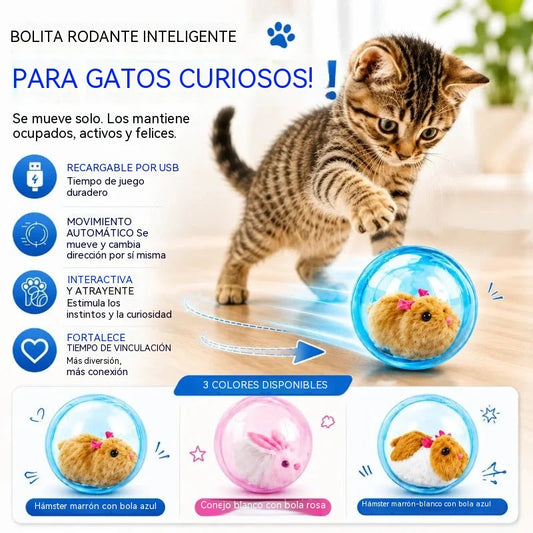 🐹 Juguete interactivo para gatos | Hámster y conejo que ruedan solos