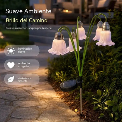 🌷 ¡50% de descuento! ☀️ Luces decorativas solares: resistentes a la intemperie, hermosas decoraciones para el jardín.