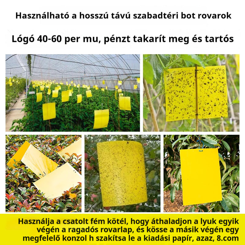 🔥【100 darab】--11500  Ft】【Időszakos ajánlat】💥 Sárga kétoldalas ragacsos rovarcsapda