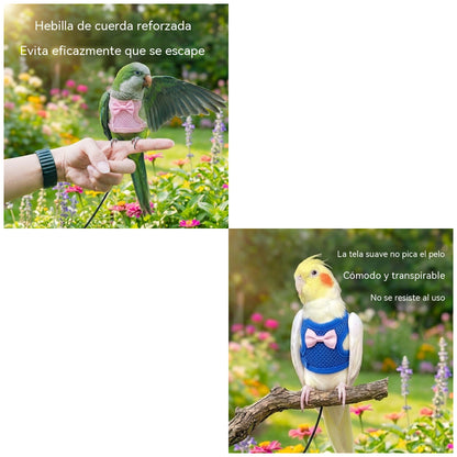 🐦🐦‍⬛Arnés y correa de vuelo para loros