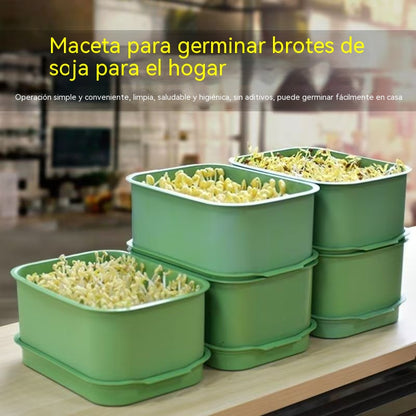 🌱🥗Bandeja para germinar brotes en casa | Cultiva brotes frescos fácilmente