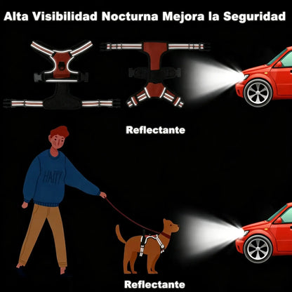 🦮Correa anti-tirones para perros
