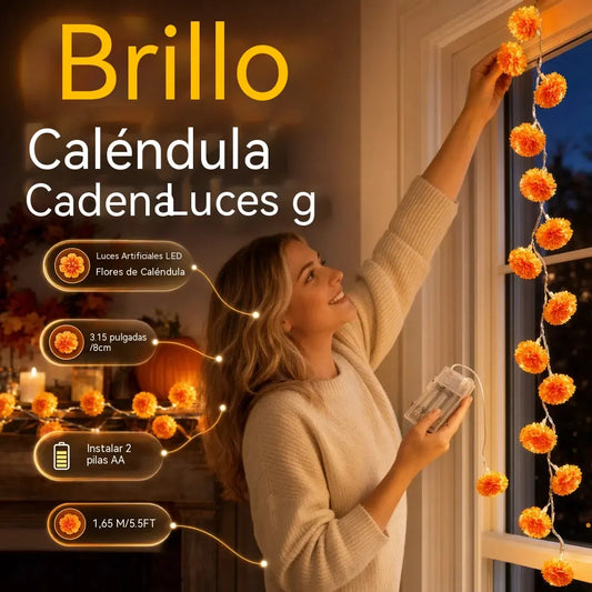 🎃🌼 Luces de caléndula: el brillo naranja festivo crea una atmósfera de Halloween cálida pero espeluznante ✨🕸️