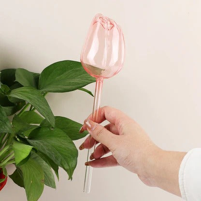 🌷¡Disfruta ahora de un 50% de descuento! ✨Bola de riego automática con forma de tulipán para plantas🎀