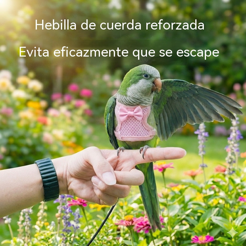 🐦🐦‍⬛Arnés y correa de vuelo para loros