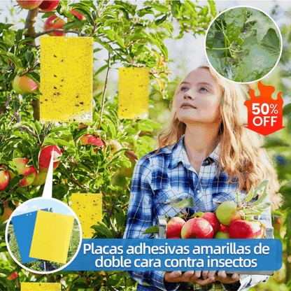 🔥🔥【50% έκπτωση】60 τεμάχια 27 ευρώ【Προσφορά περιορισμένου χρόνου】💥Κίτρινη κολλητική παγίδα εντόμων διπλής όψης