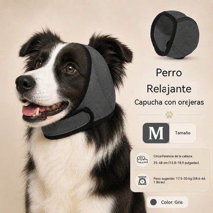 🐶 Gorro calmante para perros | Más tranquilidad en momentos de estrés
