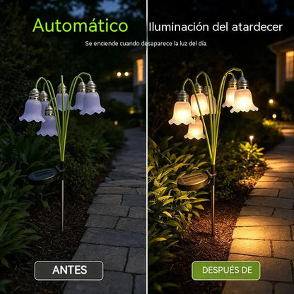 🌷 ¡50% de descuento! ☀️ Luces decorativas solares: resistentes a la intemperie, hermosas decoraciones para el jardín.