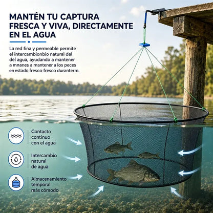 💥Trampa mágica para pescar🎣Jaula de pesca plegable