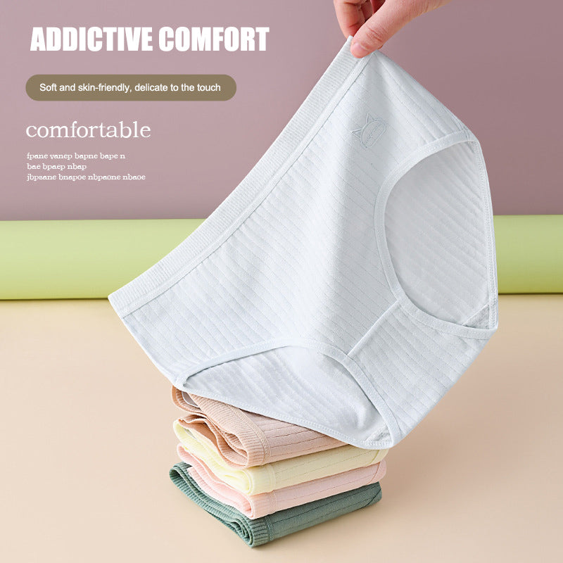 7 piezas por 25 euros【Tallas M-2XL】Nuevas braguitas premium de algodón de talle alto, impermeables y antibacterianas (colección 2026)-【Para pesos de 35 a 100 kg】