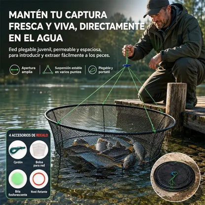 💥Trampa mágica para pescar🎣Jaula de pesca plegable